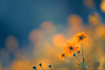 浅谈几种常见的数学思想方法