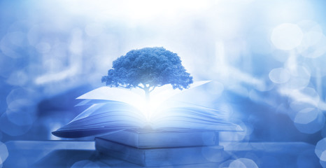 《卖火柴的小女孩》讲了一个什么故事？