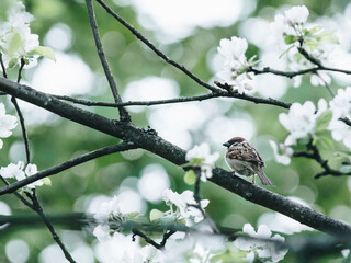 大学专业有哪些-