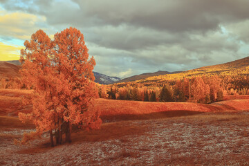 开放式公园入口平面_浅论城市公园的开放式设计