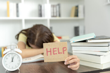 分数与除法的关系的手抄报 关于分数的手抄报