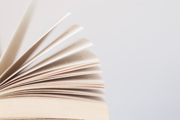 开放式公园入口平面_浅论城市公园的开放式设计