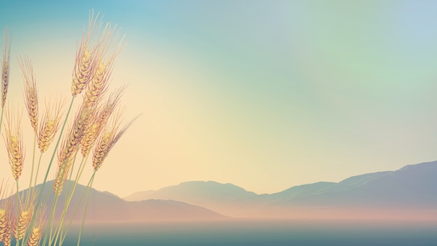 秋季中药养生汤