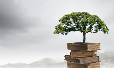 分数与除法的关系的手抄报 关于分数的手抄报