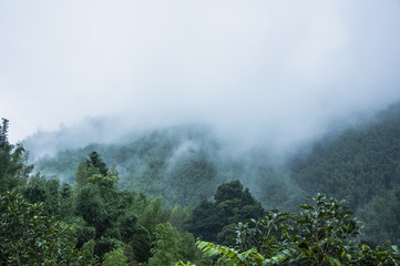 《卖火柴的小女孩》讲了一个什么故事？